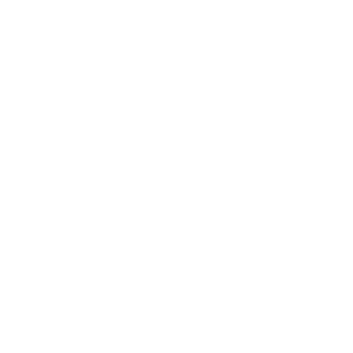Stake logo